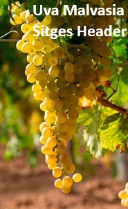 UBMalvasiaSitges